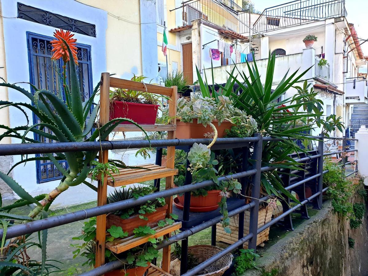 2 Bed Apartment In The Historical Center Pizzo Pizzo  Zewnętrze zdjęcie